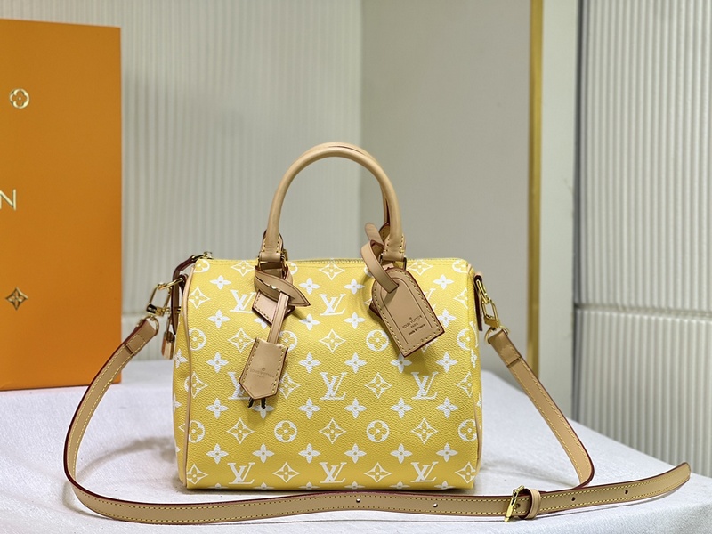 LV Handbags 211